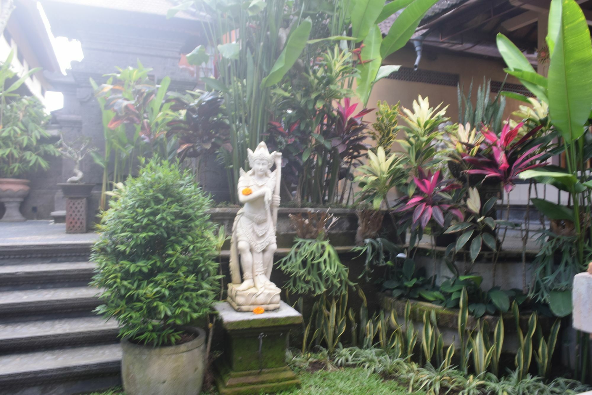 Aura Bisma Hotel Ubud Exterior foto